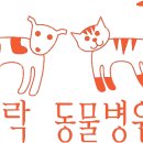 모여라동물병원 이미지