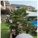 변산 프로방스 | 변산애견펜션, 변산프로방스애견펜션에서의 즐거운 추억 만들기