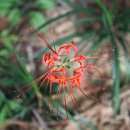 광주병원 이미지