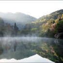 세량제 이미지