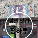 청하루 | [청하루] 경산 노포 중국집 N번째 방문 또간집 청하루 후기!