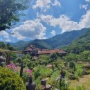 향림오토캠핑장 이미지