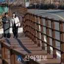 대청호수로 이미지