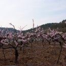 단산회관 이미지