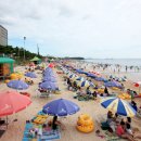 머드광장 관광안내소 이미지