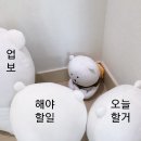 콜론네일 - 18983 | 콜론네일