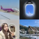 피치가 | 일본 나고야 여행 항공권 예약 피치항공 후기 할인 쿠폰