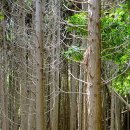 흑산당구장 이미지