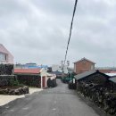 [제주] 서쪽에 위치한 고요한 시선 &#34;3인칭 관찰자 시점&#34; 카페 / (메뉴판, 화장실, 주차)