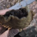 풍림아파트 이미지