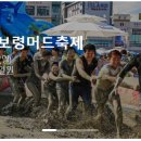 박영희피부관리 | 2024 보령 머드축제 여행 가이드