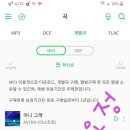 나무늘보;요정