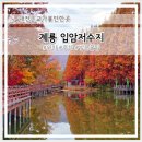 입암저수지주차장 공중화장실 | 대전 근교 가을여행 단풍 100% 절정 계룡 입암저수지