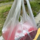 진주 경상대 ‘1인칭피자시점’ 진주피자추천 경상대 혼밥