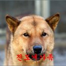 행운축산 이미지