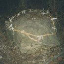 문촌2리 이미지