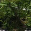 홍류동 화장실 이미지