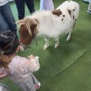 뽑아쥬 | 청주실내아이랑가볼만한곳, 버드앤쥬 방문후기