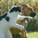 비몽사몽 이미지