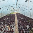 한동농장 이미지