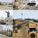 서울 나들이 한양도성 순성코스 벚꽃 가볼만한 야간 명소 남산