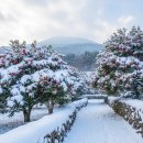 미래목장 | 1월 국내 여행지 추천 BEST 3 &amp; 성 아그네스 데이 미래남편 꿈 방법 후기