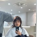 청라 미용실 추천 | 레이어드 맛집 살롱마치 청라점, 가지혜 원장님 솔직후기
