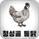 원당동 치킨 맛집 청성골 통닭 방문 후기