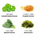 성문어린이집 이미지