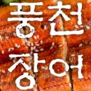 더기운센풍천장어