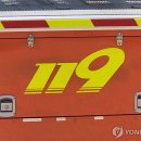 119 이미지