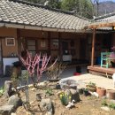 서하네 민박 이미지