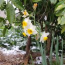 마당민박 이미지