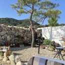 스테이울진 이미지