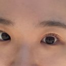 위아래쉬 네이버블로그