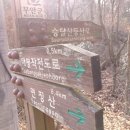 목포실내체육관 이미지