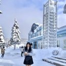 미현목장 이미지