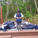 거창 항노화 힐링랜드 자연휴양림 이미지