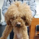 송진불한증막 이미지