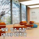 태백산맥문학관 대형주차장 | 대전 벚꽃 명소 새로 개관한 대전테미문학관 창밖 뷰 후기