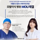 아벨리아카데미