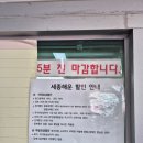 경성여객자동차(주) | 신시모도 여행 내돈내산 배타고 가는 방법 A to Z