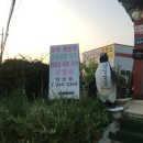 약산정 이미지