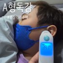 덕산통A뒤 - 우 | A형 독감 증상 , 검사 기간 격리 전염 수액 (+ 잠복기)