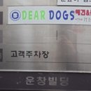 디어독스 이미지