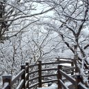 내창천 산책로화장실2 | 제주 겨울 한라산 1100고지 실시간 주차 및 통제, 화장실상황