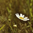 마음의원 이미지