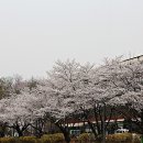 광장직업소개소 이미지