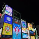 (주)코리아세븐 인천용현스타점 | 2024년 08월 일본여행_1일차 : 오사카 시내 대충...관광...