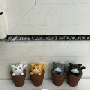 뉴서울노래연습장 이미지